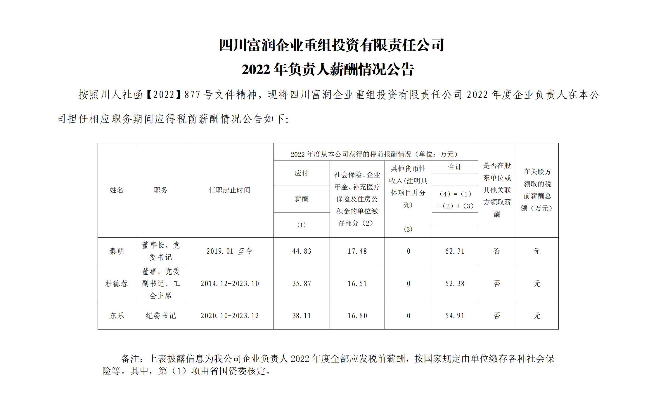 2022年度企业负责人公示模板_01.jpg