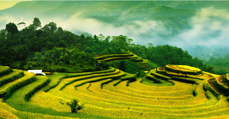 农旅融合，提振消费