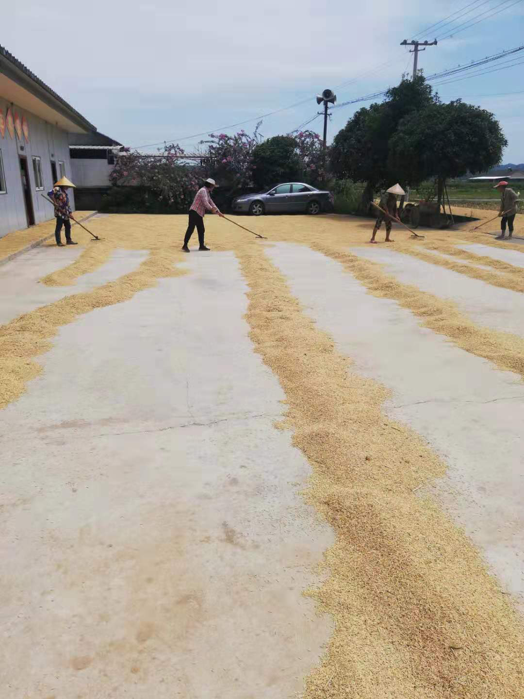 2.jpg 2.jpg