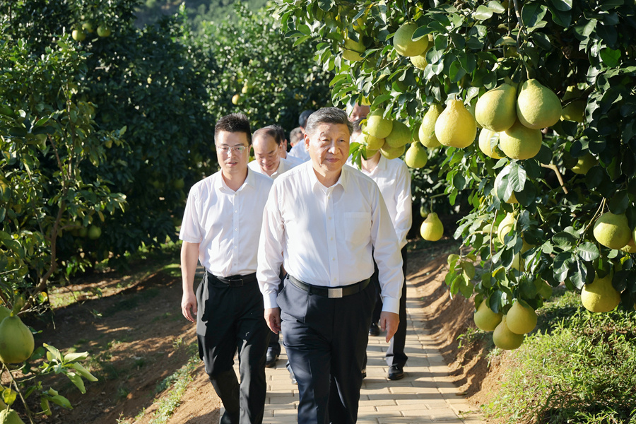 图5.jpg